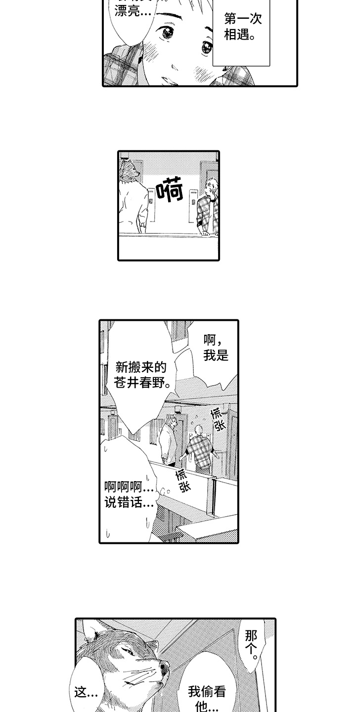 第1章：疲惫6