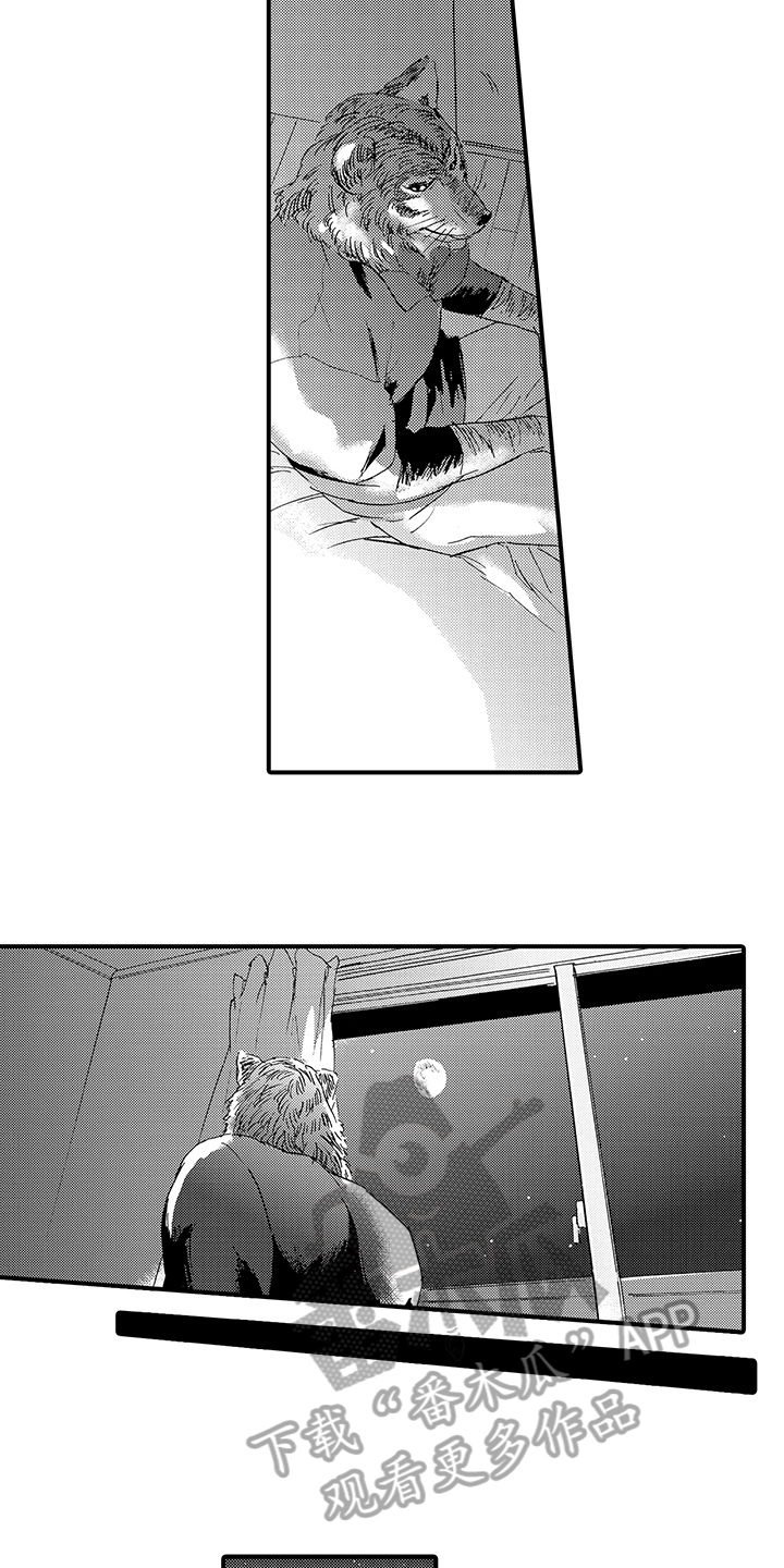 第5章：评价7