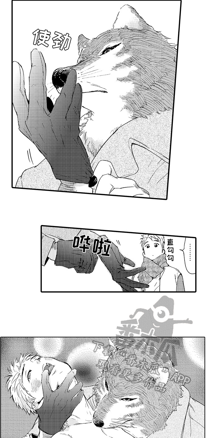 第10章：月圆美梦【完结】11