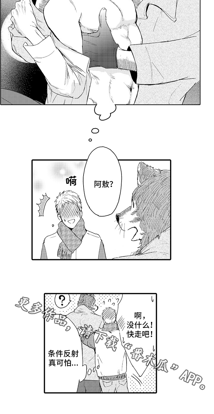 第10章：月圆美梦【完结】12
