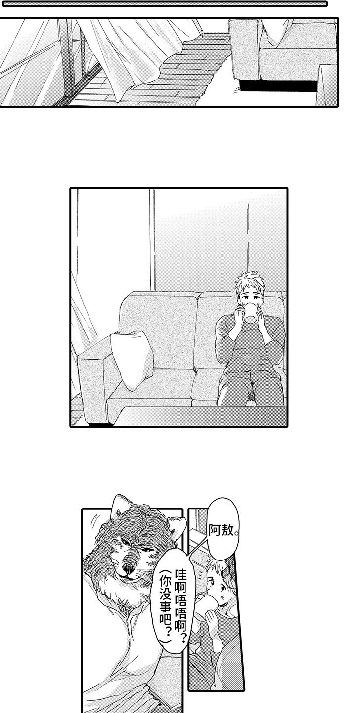 第8章：期待12