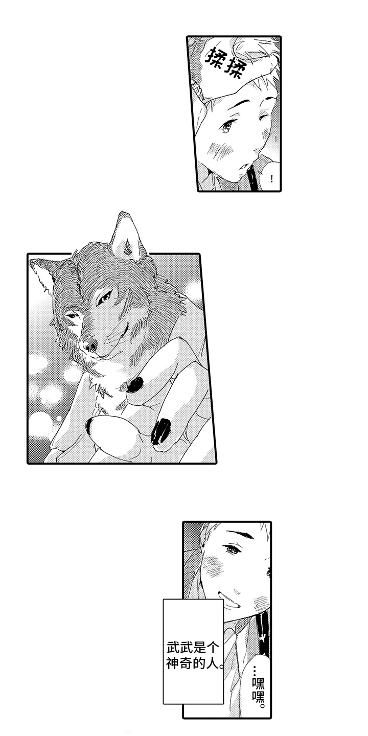 第3章：喜欢0