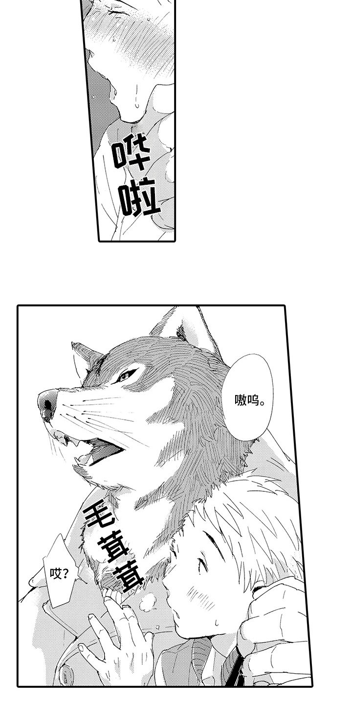 第1章：疲惫12