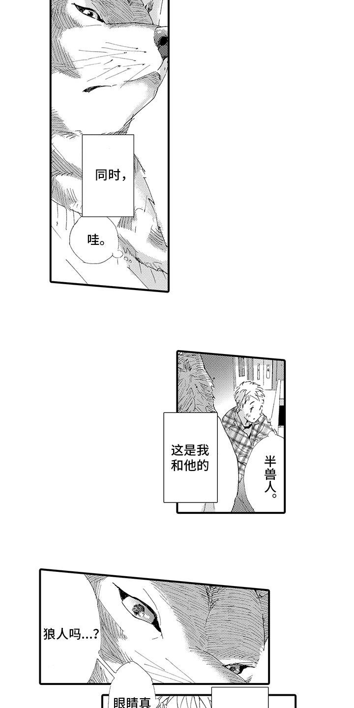 第1章：疲惫5