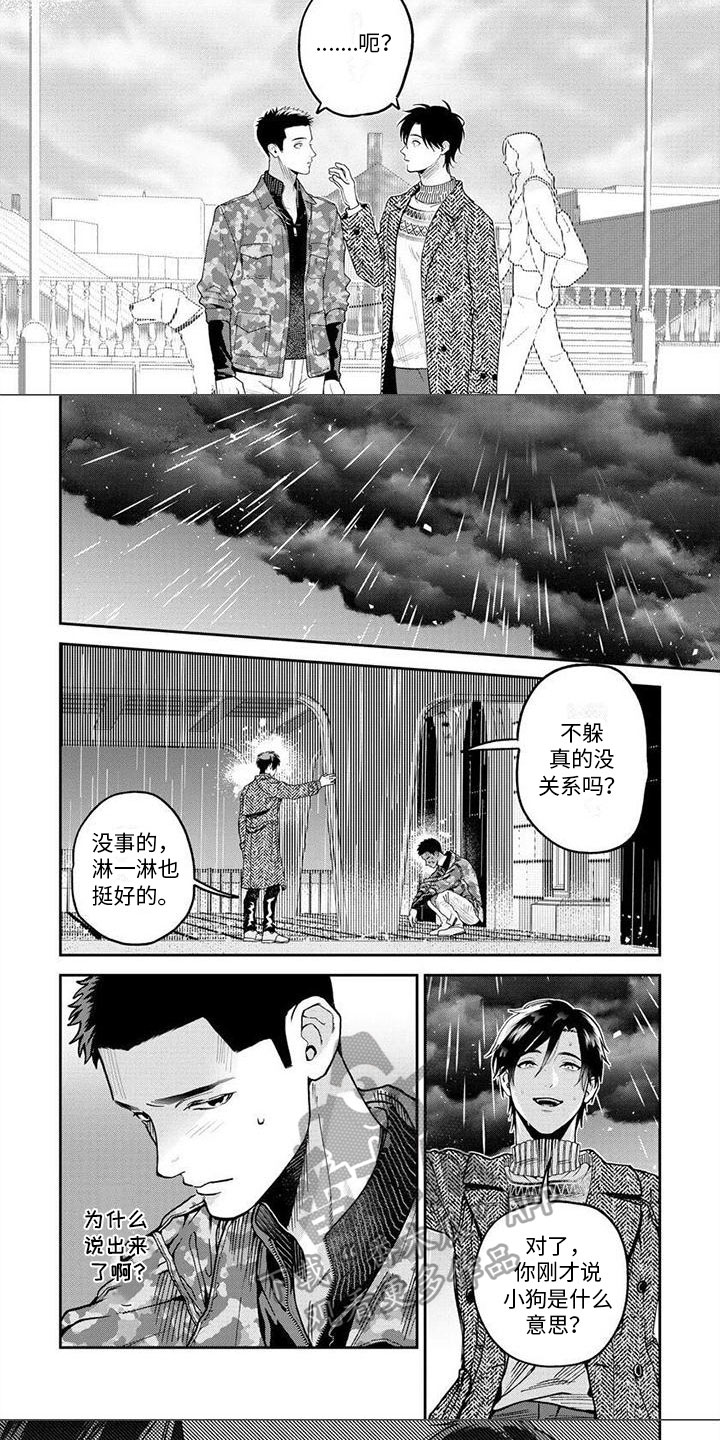 第15章：想法4