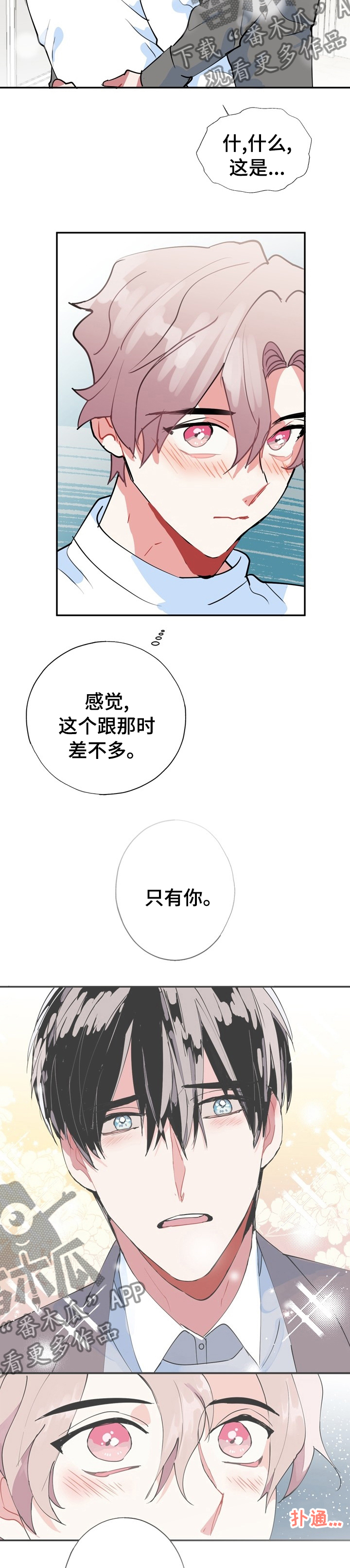 第64章：【完结】经纪人11