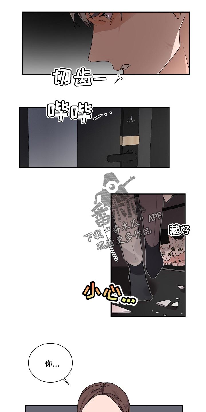 第73章：是我的错10