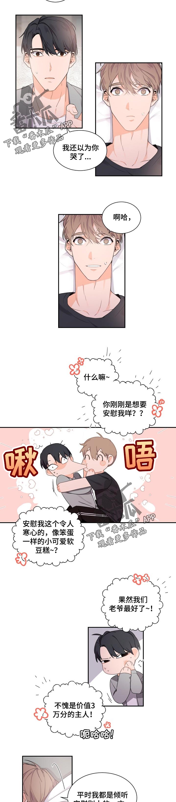 第52章：温柔完美的人5