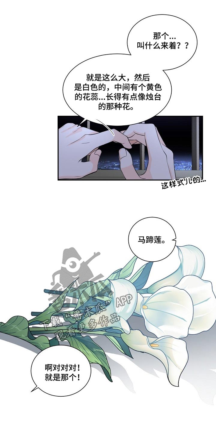 第70章：马蹄莲15