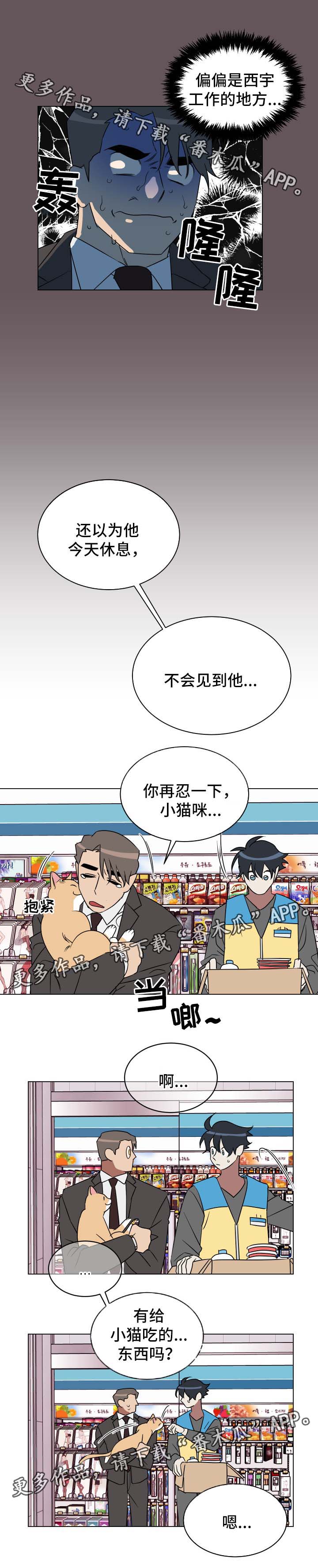 第30章：喂猫3