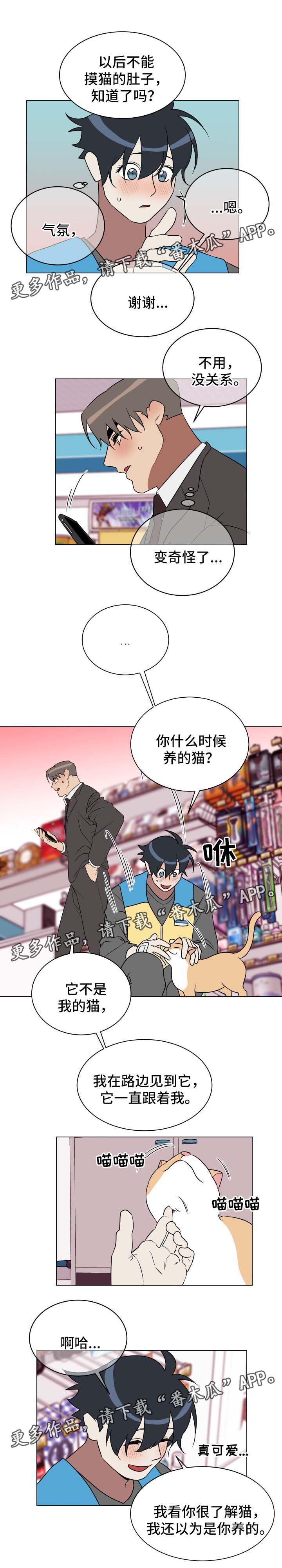 第31章：有意思0
