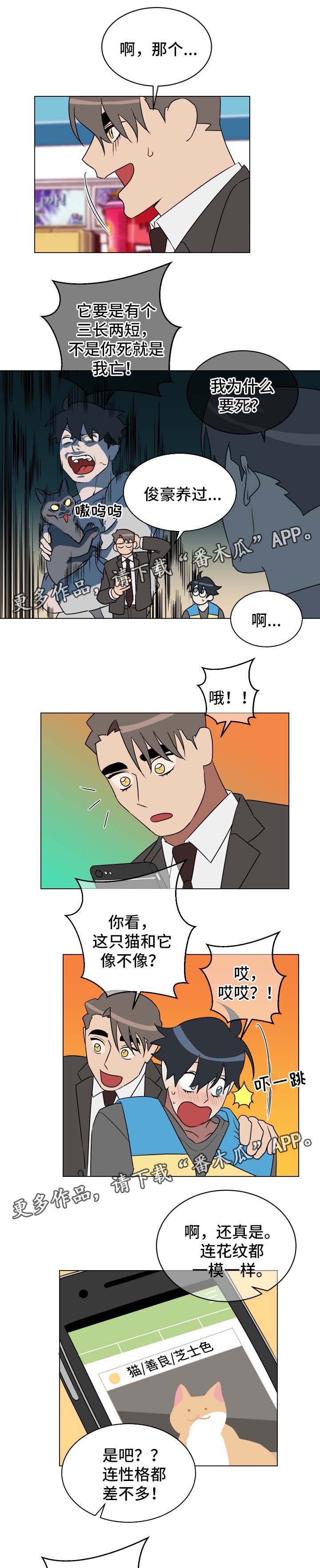 第31章：有意思1