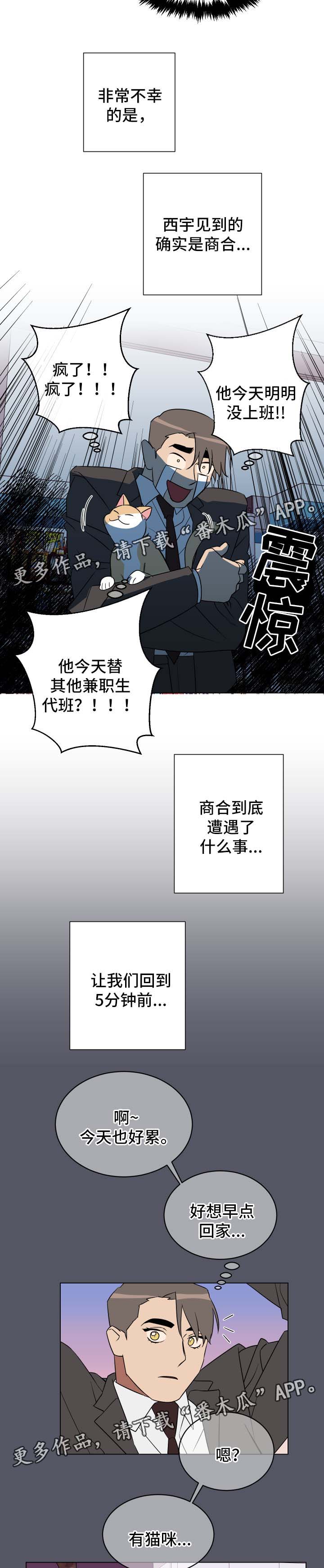 第30章：喂猫1
