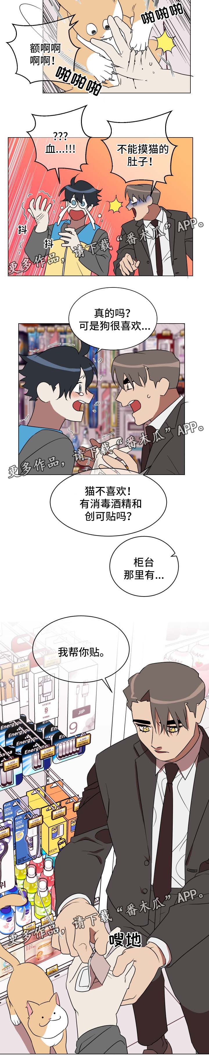 第30章：喂猫5