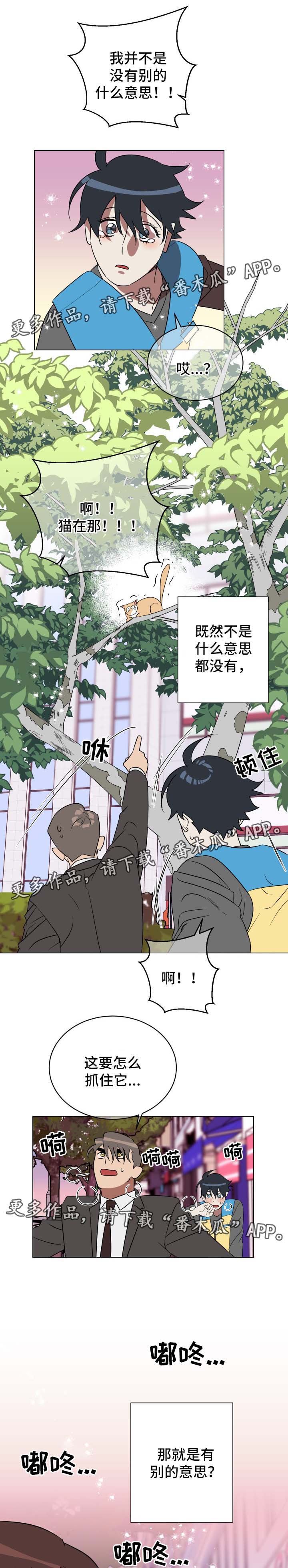 第31章：有意思5