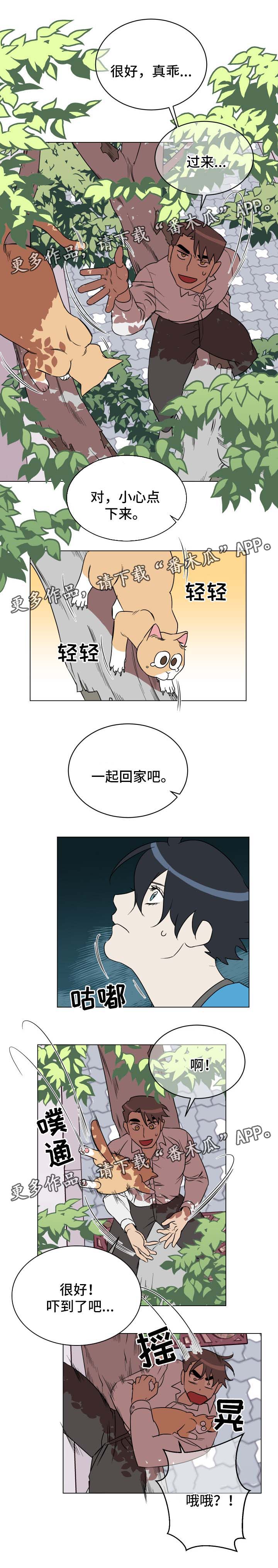 第32章：救猫1