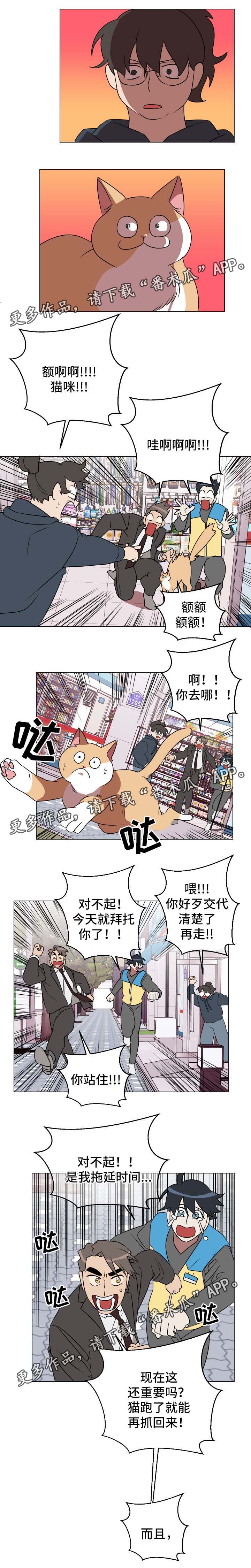 第31章：有意思4