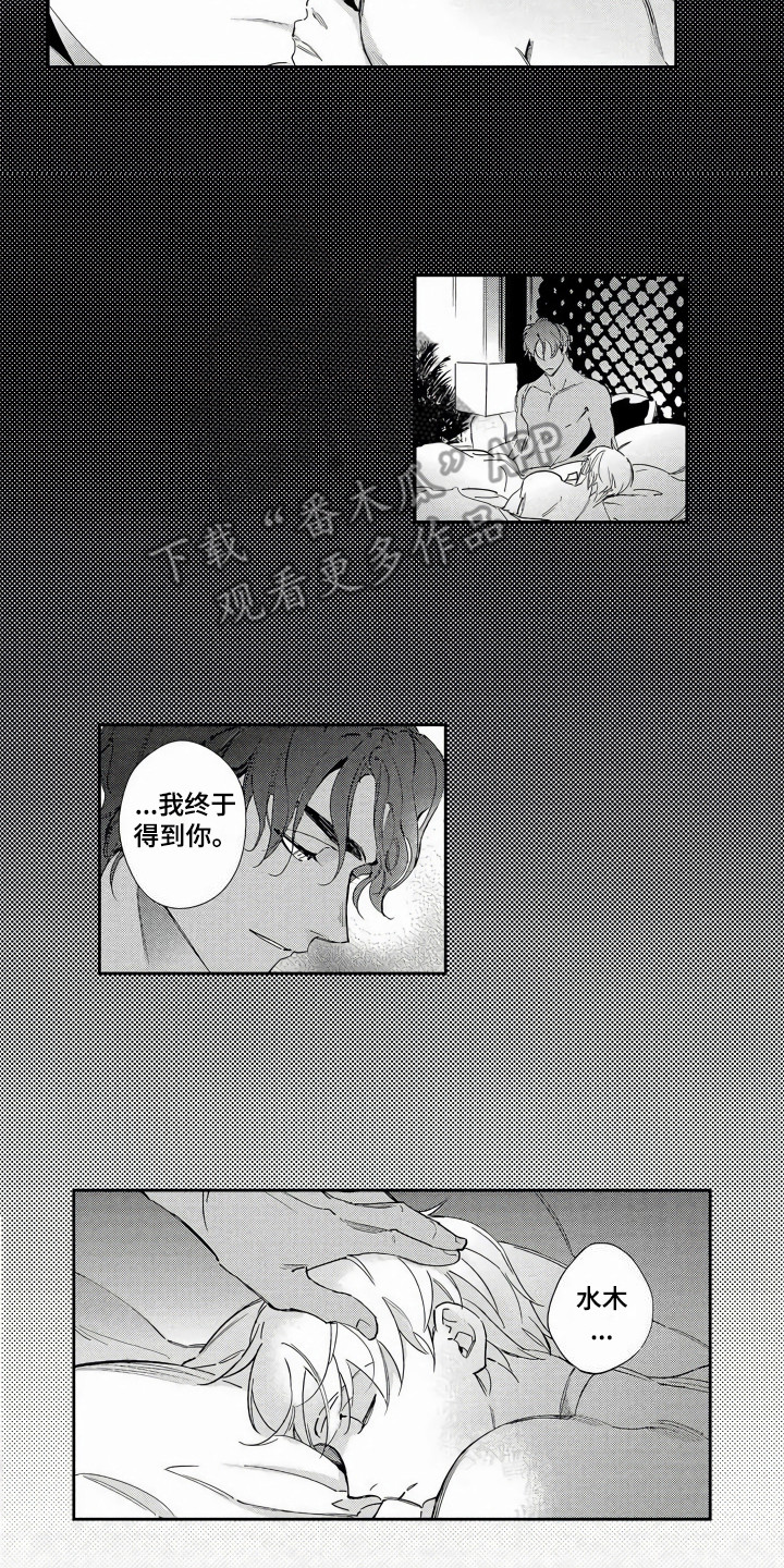 第4章：机会11