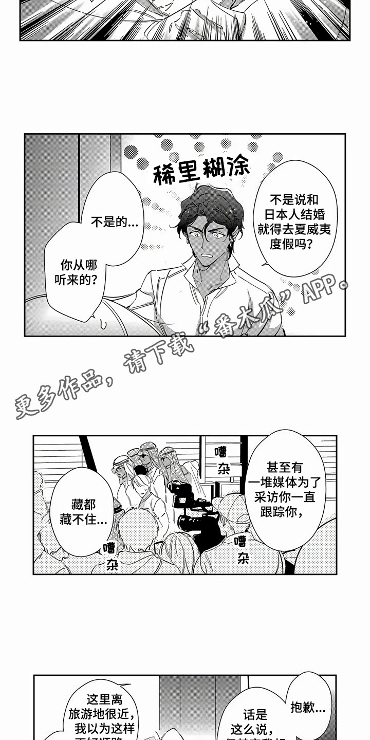 第27章：【番外】蜜月旅行6