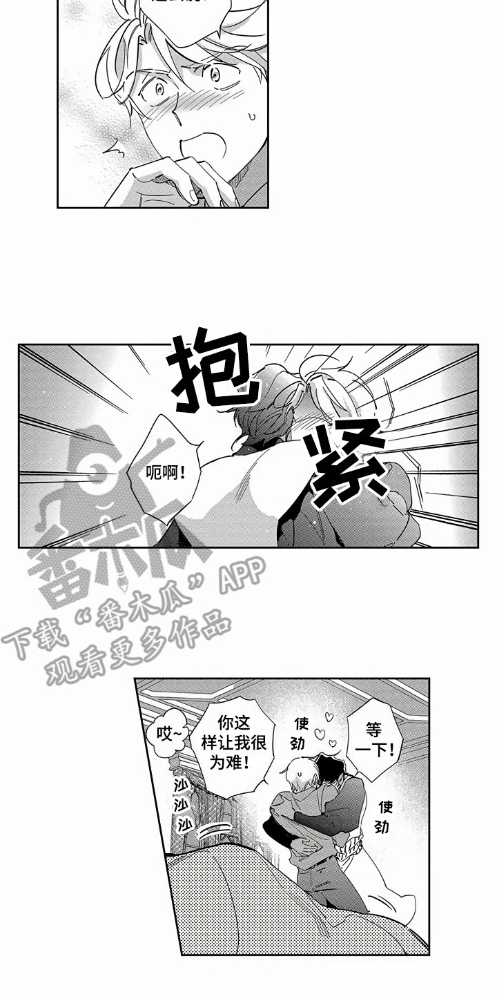 第19章：解释8