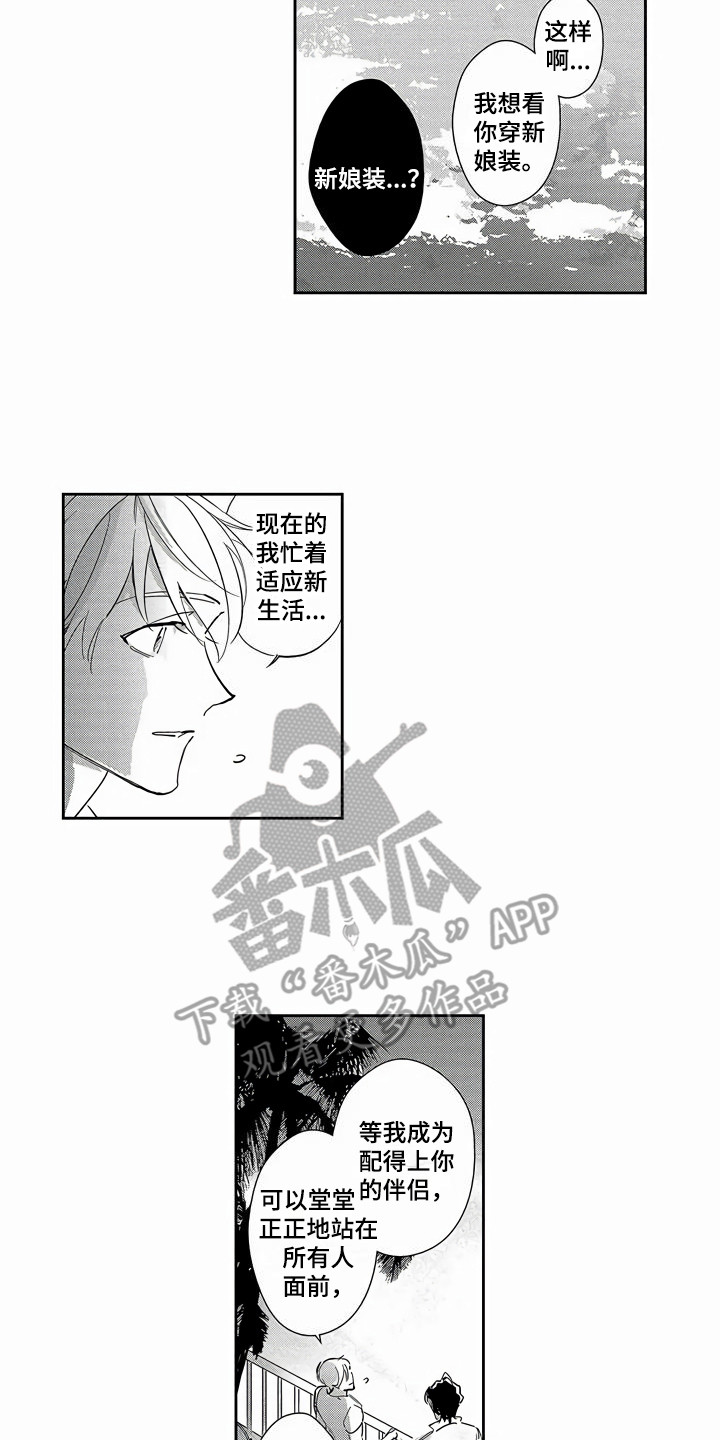 第27章：【番外】蜜月旅行14
