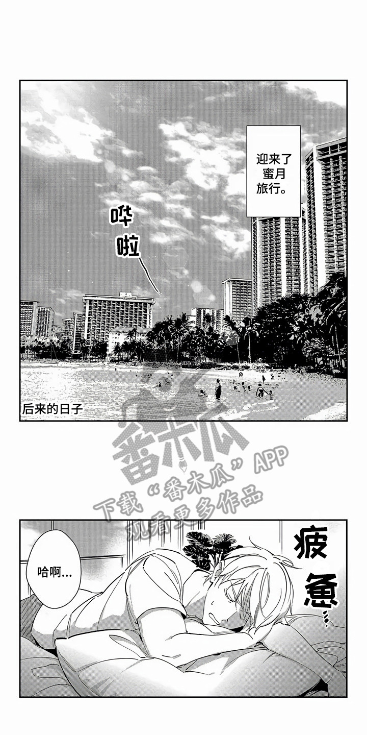 第27章：【番外】蜜月旅行0