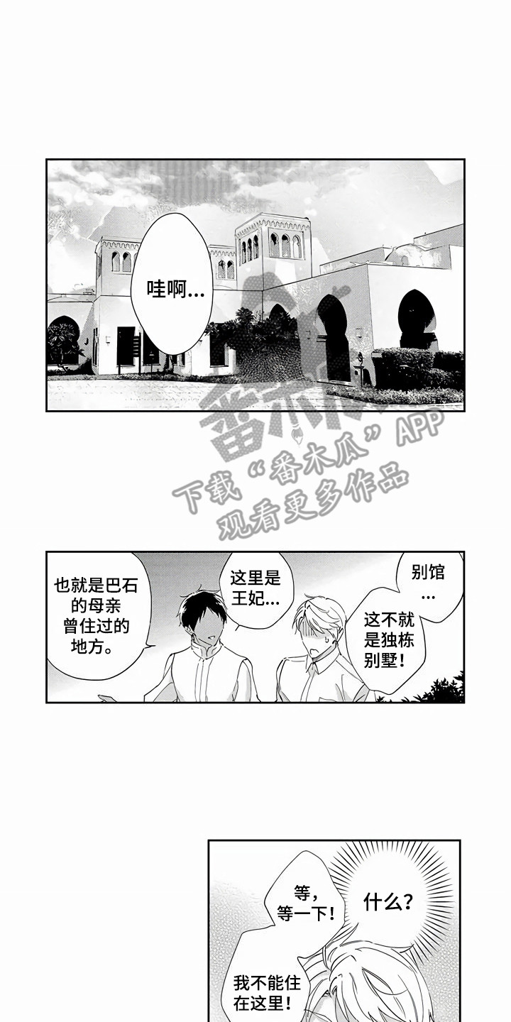 第13章：就是本人8