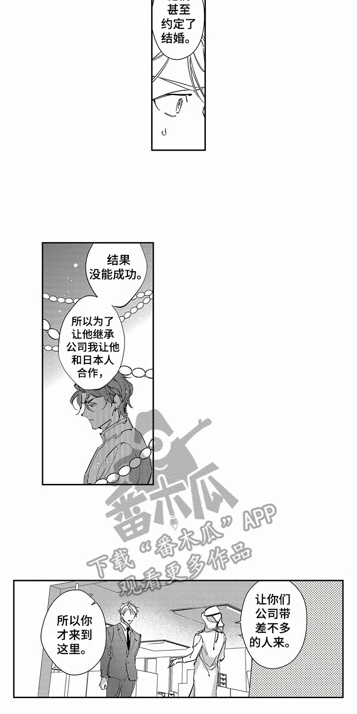 第20章：替代品11
