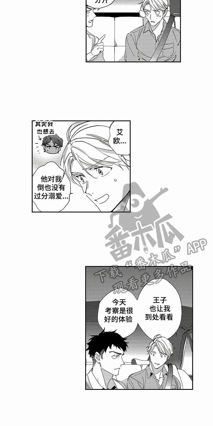 第21章：胡思乱想10
