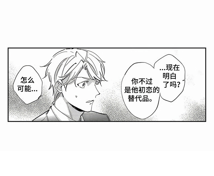 第20章：替代品12