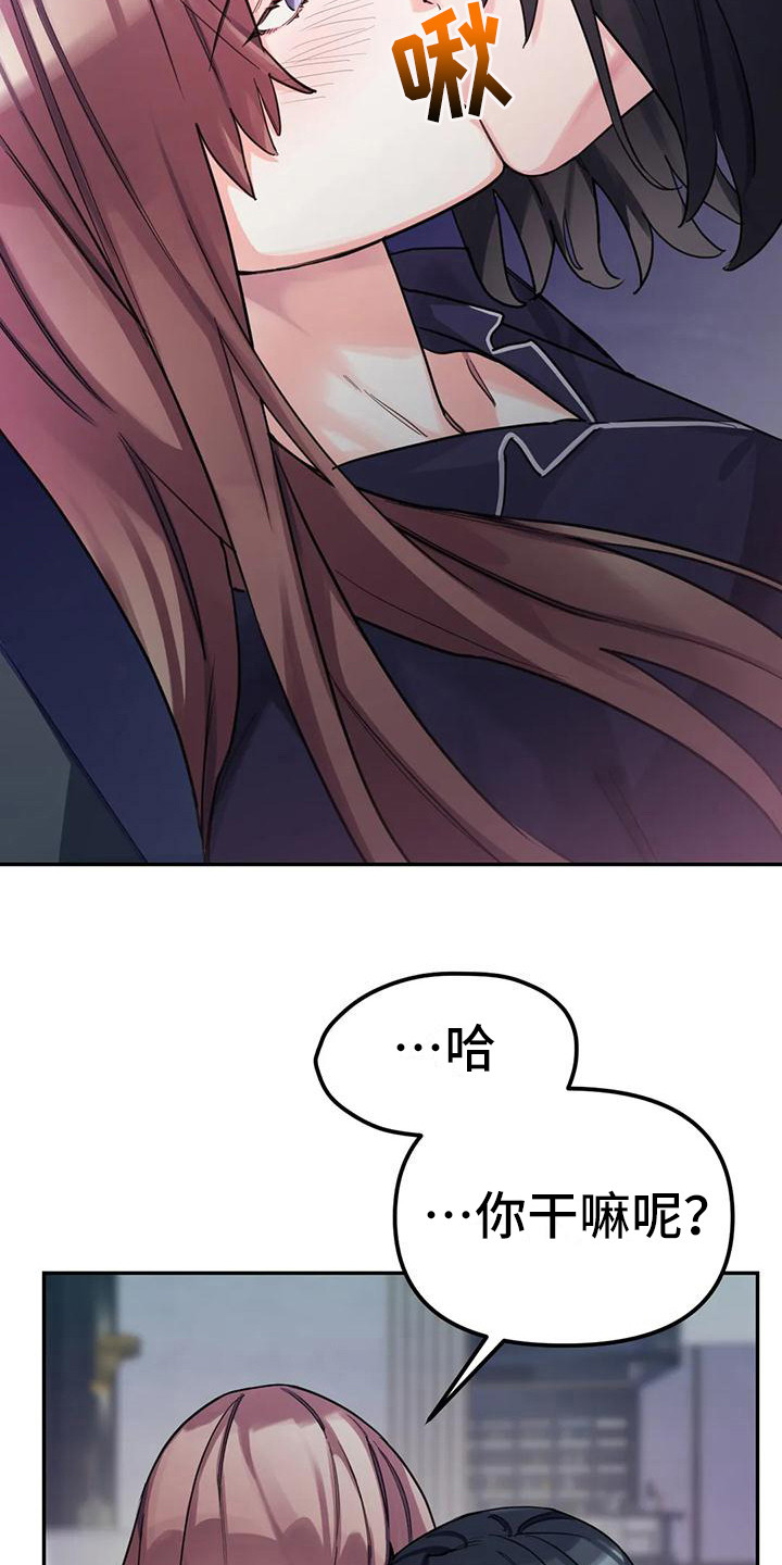 第6章：间谍：反复无常14