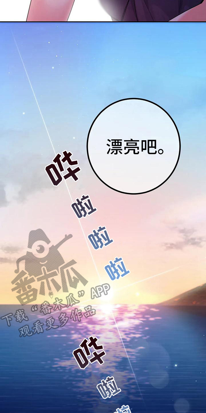 第10章：间谍：海边13
