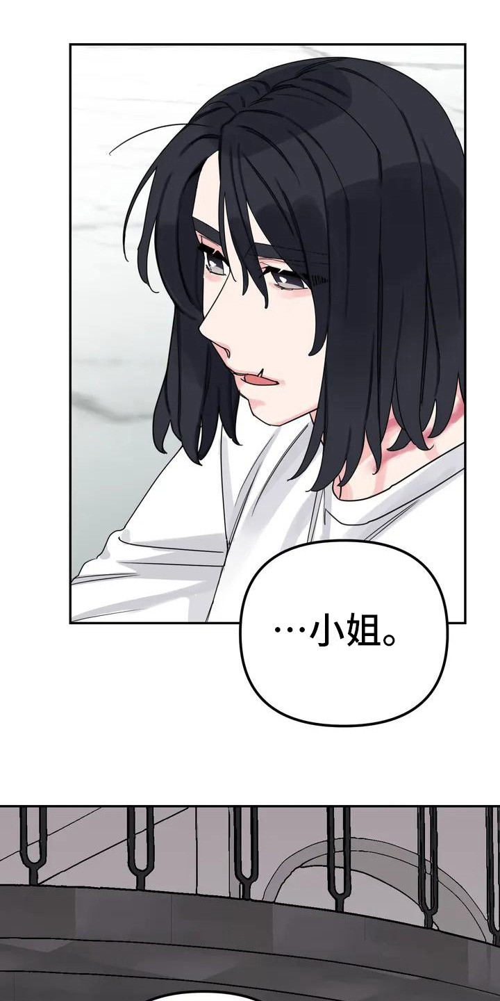 第3章：间谍：不计较13