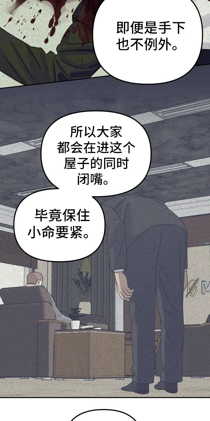 第3章：间谍：不计较10