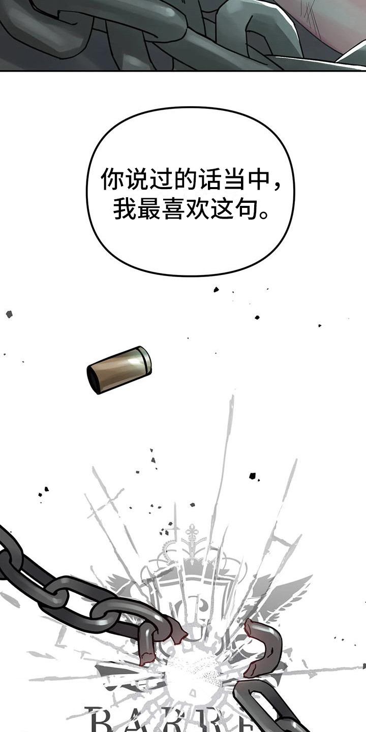 第15章：间谍：打破枷锁（完）21