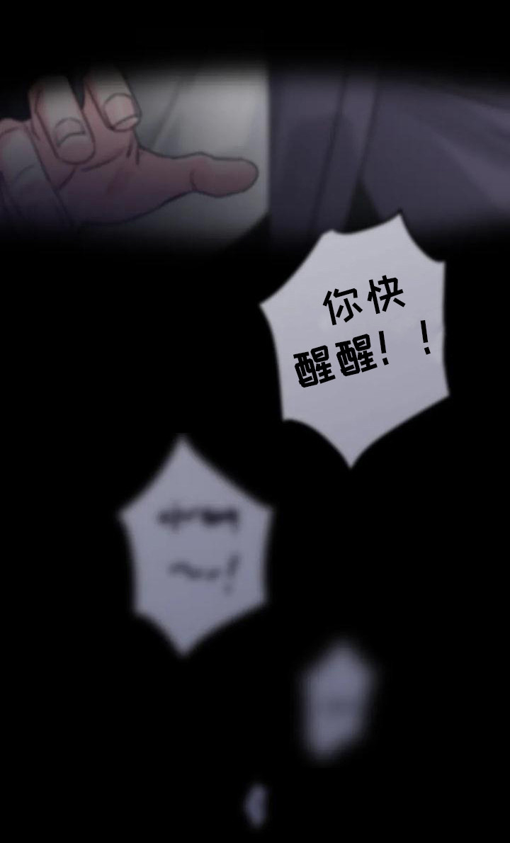 第9章：间谍：闯出来22