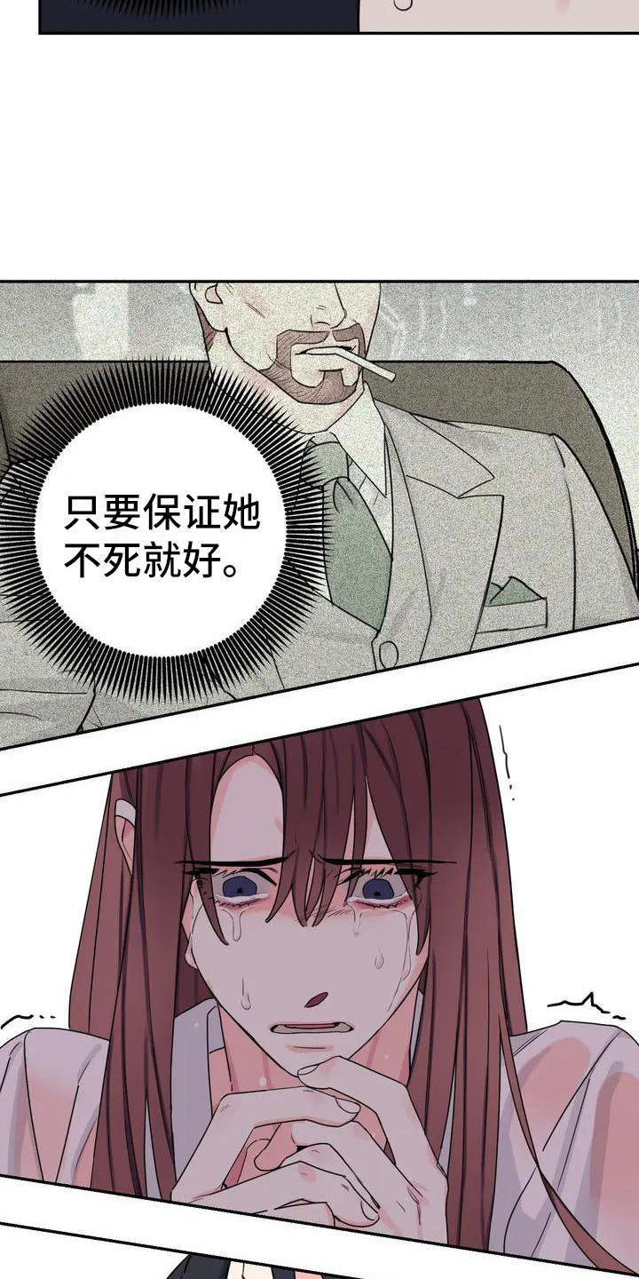 第3章：间谍：不计较2