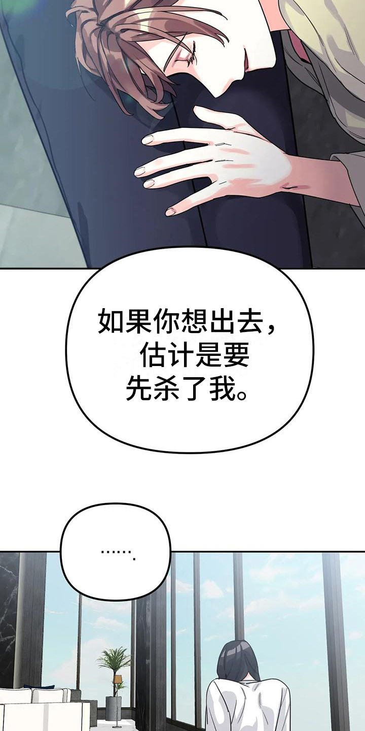 第7章：间谍：安稳平静21