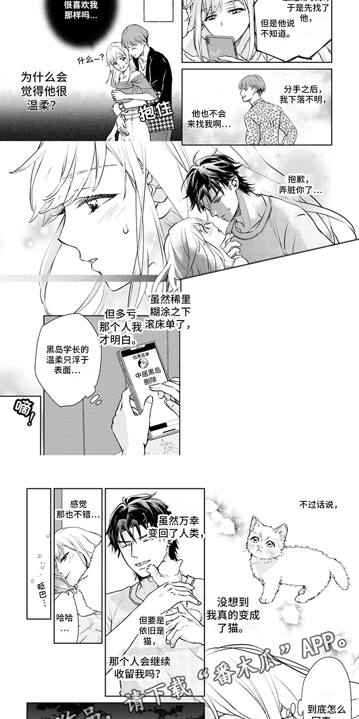 第4章：又来了3