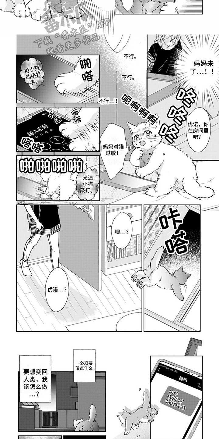 第4章：又来了5