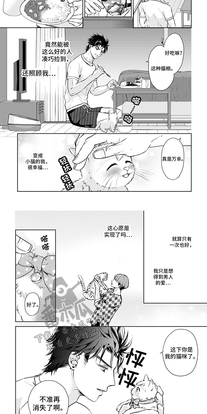 第8章：取名2