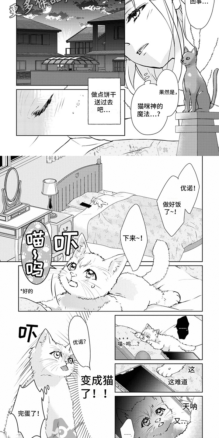 第4章：又来了4