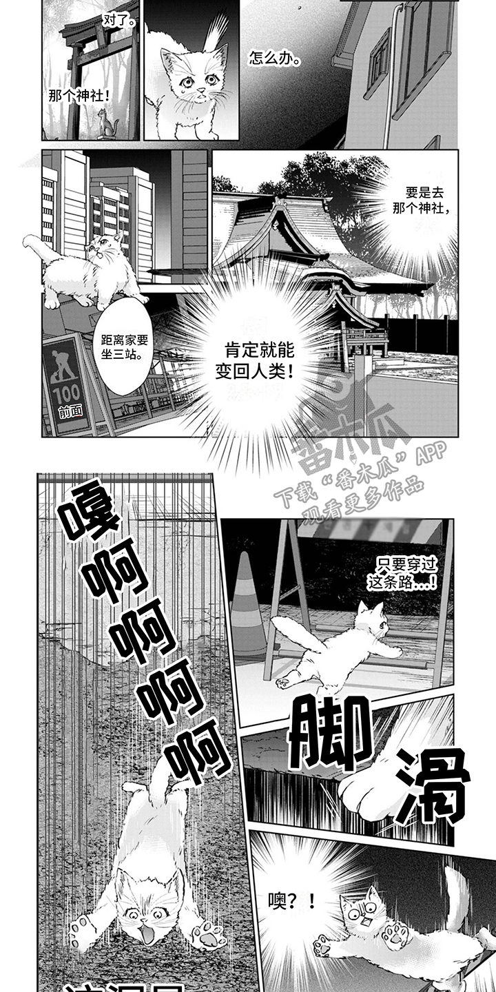 第4章：又来了6