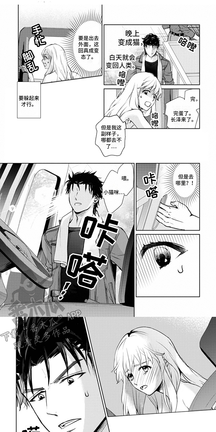 第6章：忍耐0
