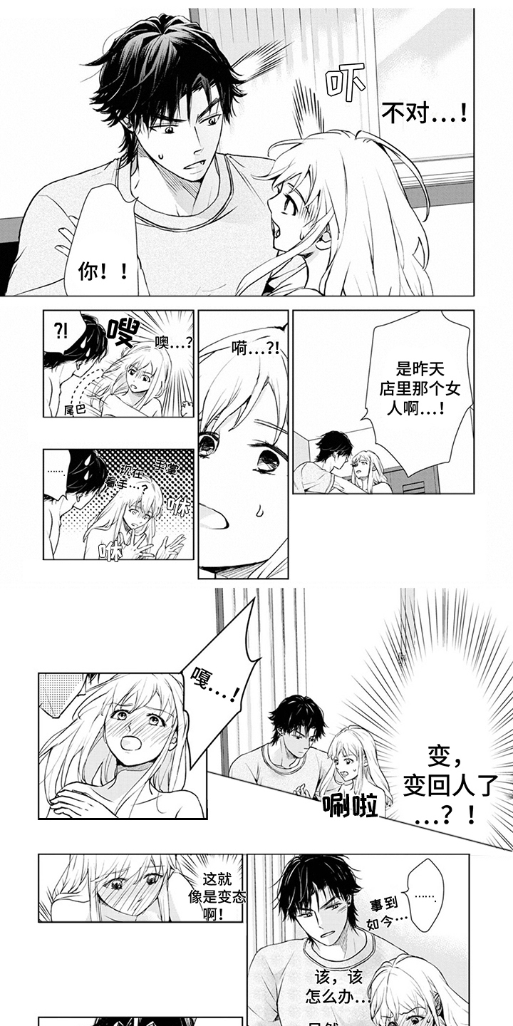 第3章：手忙脚乱0