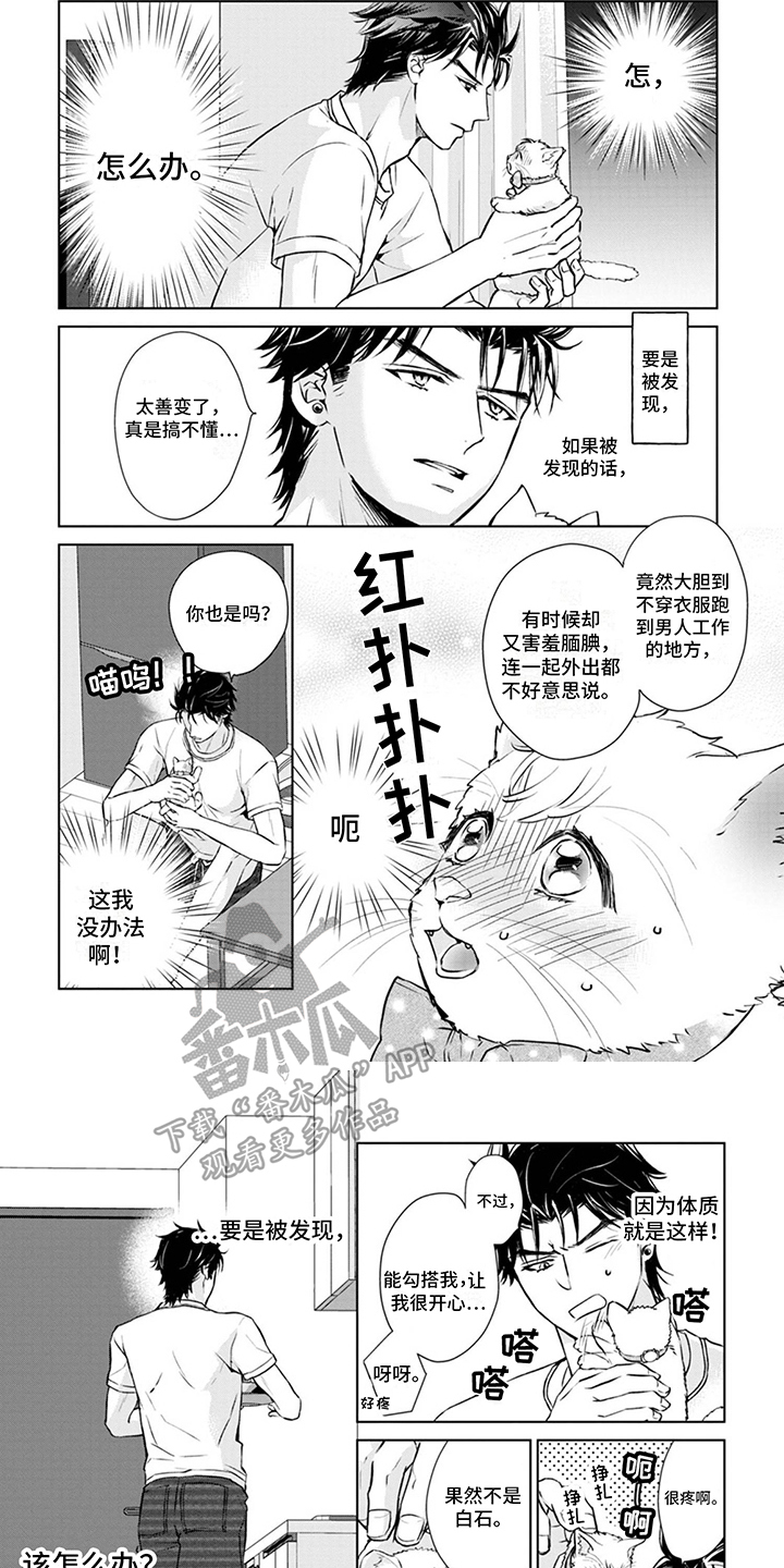 第8章：取名4