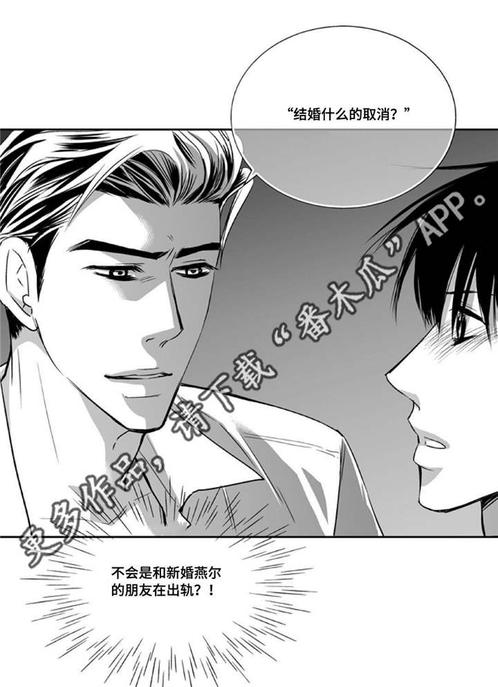 第43章：谁是傻瓜10