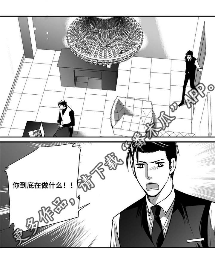 第19章：真是好奇7