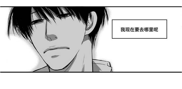 第13章：无家可归19
