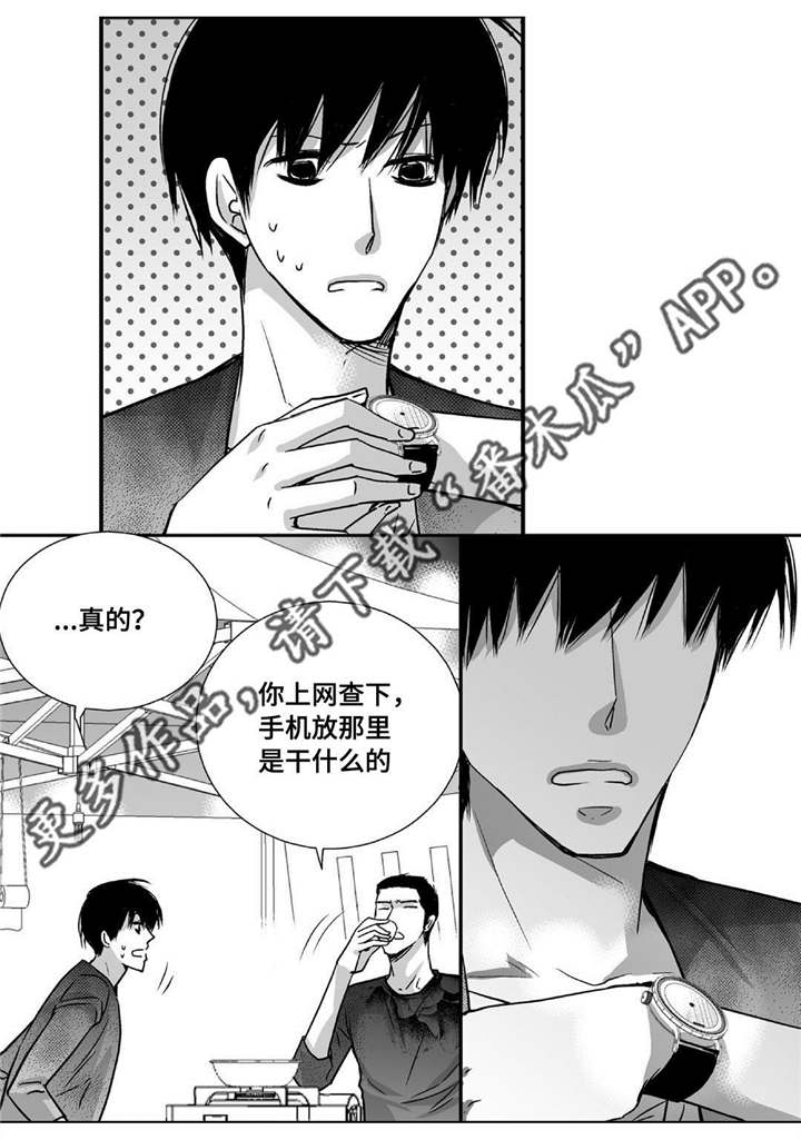 第91章：只是伴侣17
